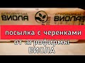 Черенки вегетативных цветов от агрофирмы Виола/ [где заказать черенки]