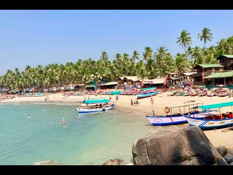 Video: Palolem, Intia