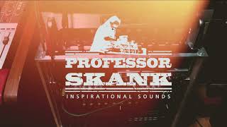 Professor Skank & Big Shine - Dealing Dub (Prof. Skank live Dub Mix)