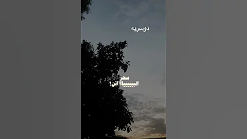 سحر البيان بدون موسيقى و حقوقي أحبها ذي شيلة حب موطبيعي 