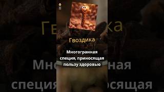 Полезные свойства гвоздики | Преимущества гвоздики как специи | Преимущества гвоздики