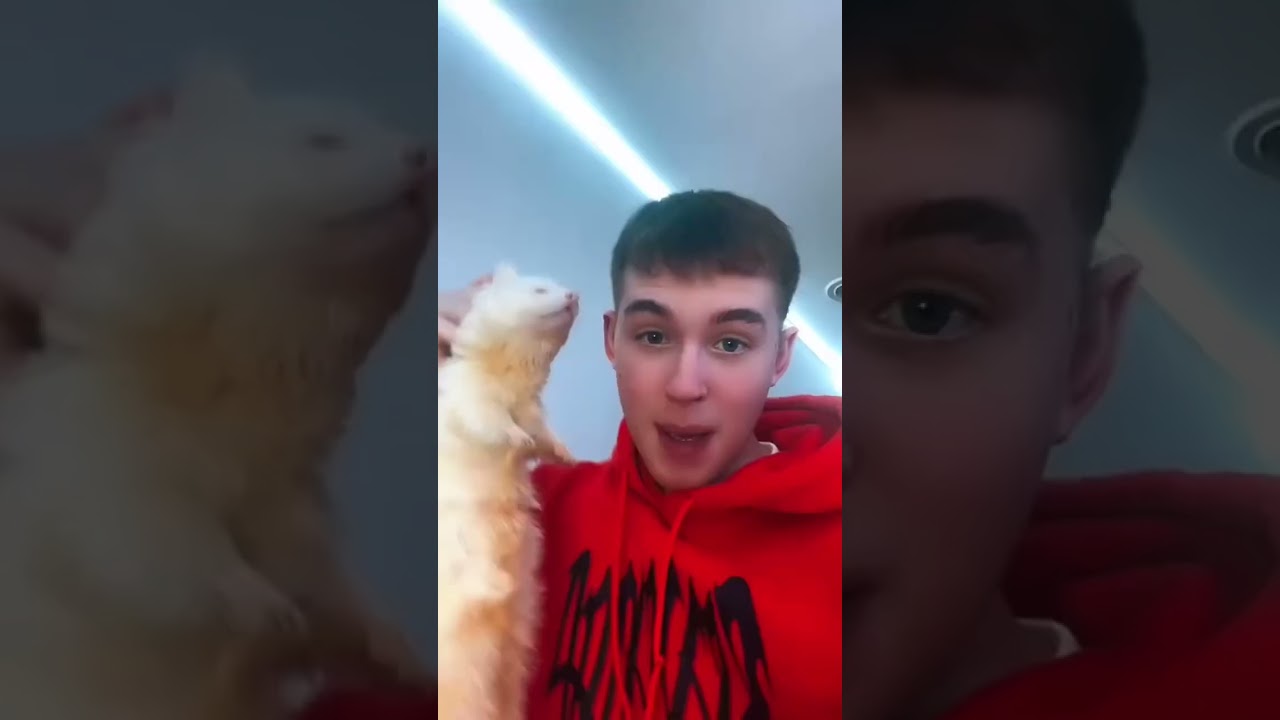 ✨MANIAS de los HURONES✨Brutal😂😱 