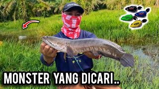 CASTING HARUAN | AKHIRNYA SAIZ MONSTER BERJAYA DITANGKAP | DAIWA REVROSE | VLOG487