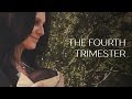 The Fourth Trimester - Easing Your Baby Into The World