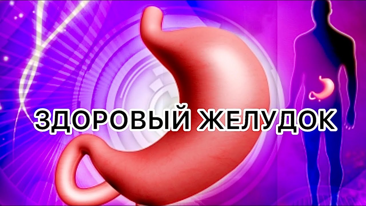ЗДОРОВЫЙ ЖЕЛУДОК / Тайм коды в описании 👇🏻 - YouTube