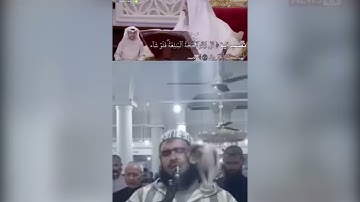 الشيخ عثمان الخميس يشرح الآية التي قرأها الإمام وليد مهساس صاحب فيديو القطة.
