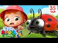 أغنية الحشرات | أغاني تعليمية للأطفال | أغاني للأطفال | Little Angel Arabic