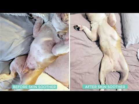 Natural Dog Company Skin Soother - video from Naturaldog