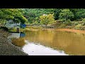 Fishing using hooks and casting  net | Big catch - Eco Resort Longkong