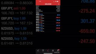 Best Pamm Account 2023