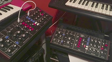 Behringer Model D Polychain Demo
