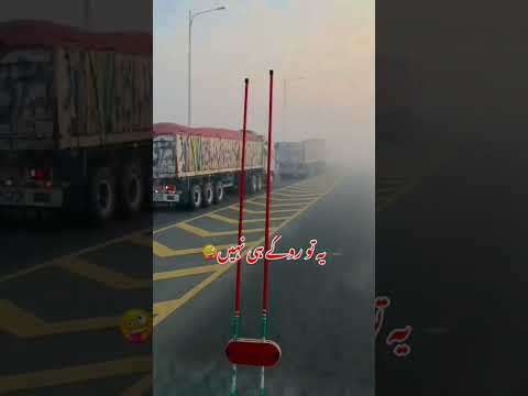 Funny Video
