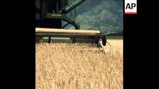 SYND 4 8 74 EFFECTS OF DROUGHT IN THE MIDWEST