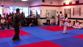 alessandro purple belt test (full)