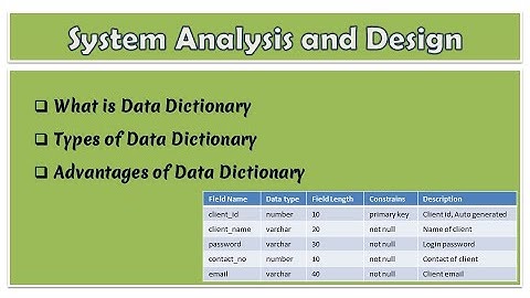 10 - System Analysis and Design | What is Data Dictionary | Types of Data Dictionary & Advantages