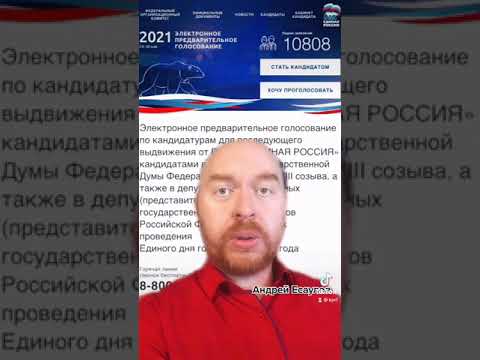 Голосование на выборах в ГосДуму через сайт госуслуг может быть мошенничеством?!