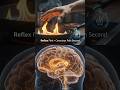 YOUR SPINAL CORD REACTS BEFORE YOUR BRAIN HERE'S HOW