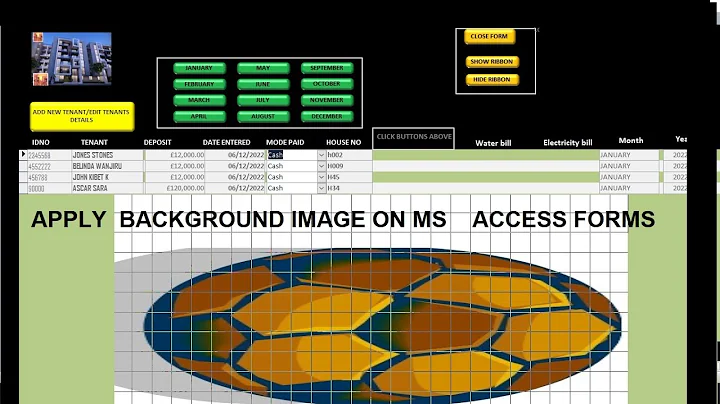 How to Insert a Background Photo in Microsoft Access Forms | Step-by-Step Tutorial