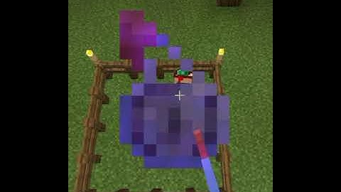 Minecraft logic that makes no sense 😁#1