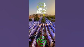 صباح الخير. سورة التوبة بصوت #ياسر_الدوسري  #اكسبلور #quran #القرآن_الكريم  #قرآن