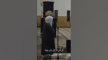 سورة المؤمنون بصوت ياسر الدوسري #قرآن #اكسبلور #المصحف #لايك #اكسبلورهاشتاقات #سورة_المؤمنون