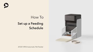 Set Feeding Schedules | PETLIBRO One RFID Pet Feeder