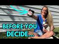 Vet Promise Review My Dogs Digestive Transformation