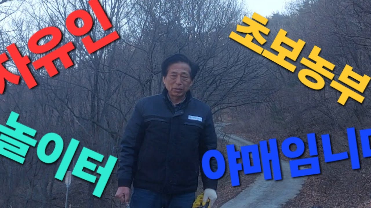 올봄 3월에 증식할 두릅나무 포식하기