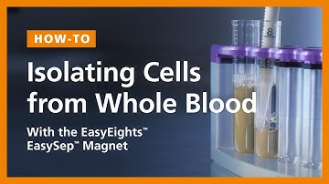 How to Isolate Cells Directly from Whole Blood - EasySep™ Direct Protocol, EasyEights Magnet