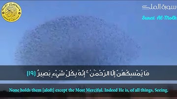 الشيخ محمود على البنا ll أَوَلَمْ يَرَوْا إِلَى الطَّيْرِ فَوْقَهُمْ صَافَّاتٍ ll تلاوة نادرة