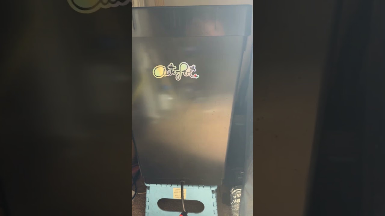 Checking out my girls from 