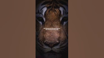 (22/100)days challenge 💪🔥#trendingshorts #shorts #shortsfeed #motivation #subscribe #dailymotivation