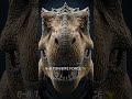T-REX vs RHINO 🦖🐘 | Ancient Monster vs Living Tank
