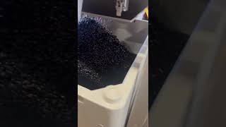 IMG 4122