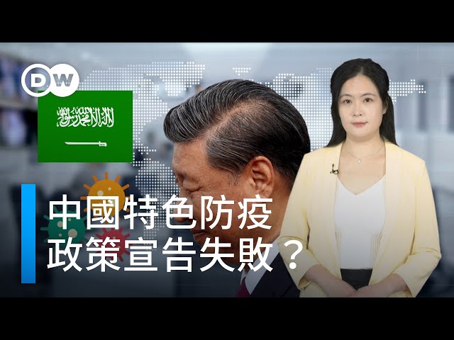 客座评论:习近平究竟对什么负责?