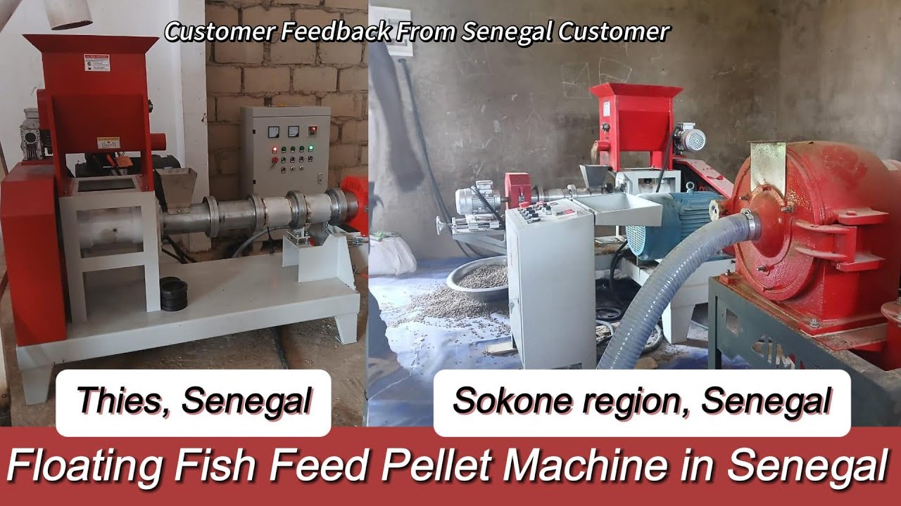 Floating Fish Feed Pellet Machine in Thies&Sokone region，Senegal 