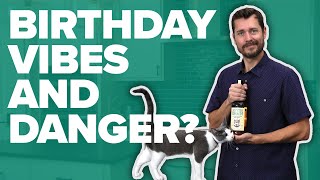 Skatterbrain Vanilla Cake Whiskey Review: Birthday Vibes And Danger?