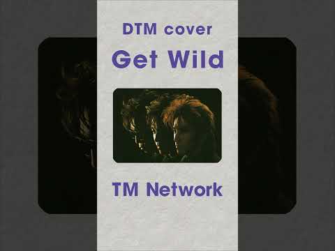 (DTM cover) TM NETWORK / Get Wild #shorts
