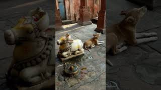 Bholenath❤️ #subscribemychannel #growmychannel #promote #viralshort