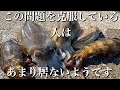 【エギング】低活性時の問題を克服する為の秘訣を紹介します