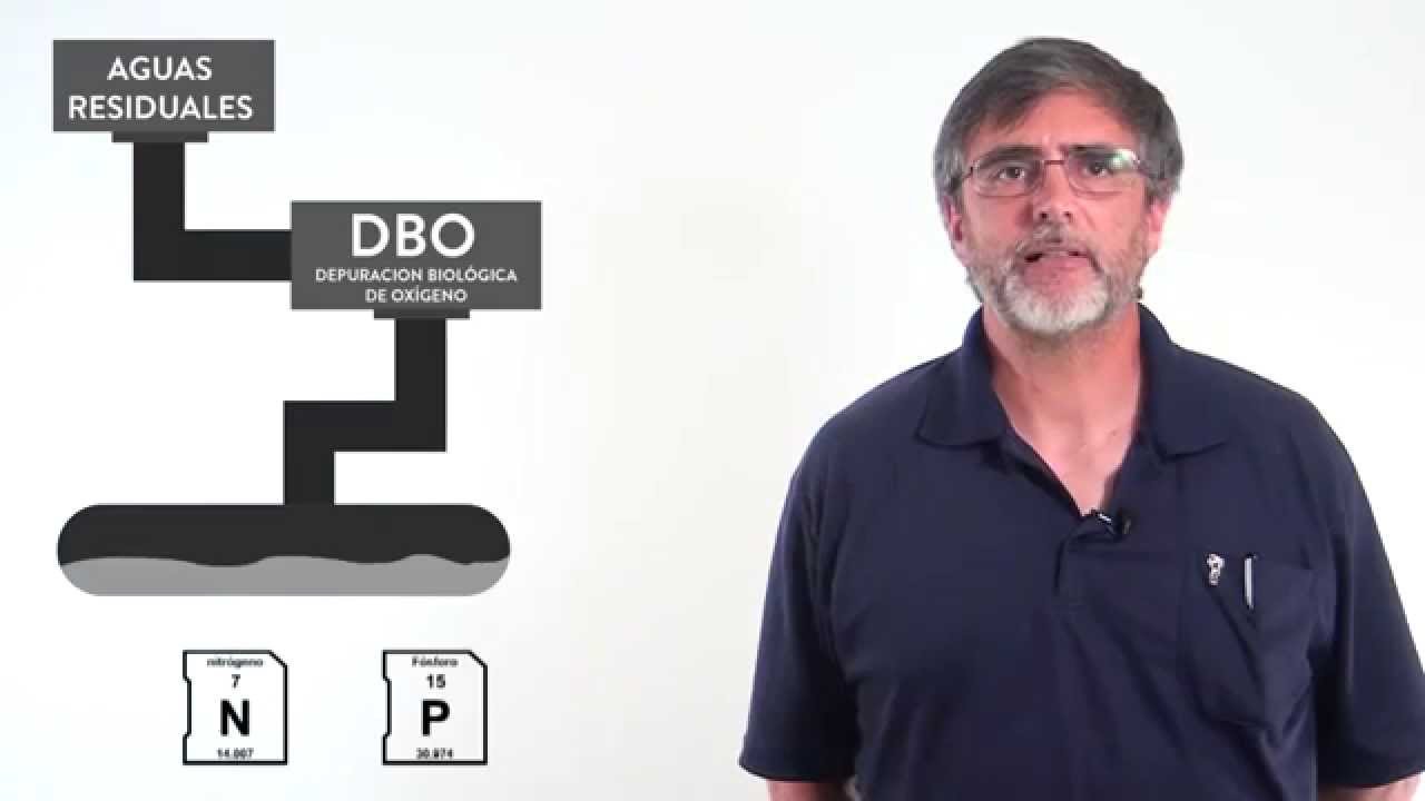 2.5. Tratamiento Terciario de aguas residuales con Algas