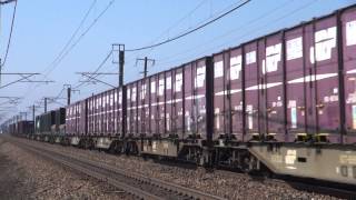 【信越本線】 4095レ-EF510 3+コキ 2015.3.21