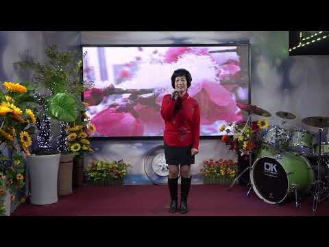 문정애/봄바람 님바람(원곡 황정자)