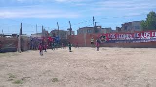 La 19 Los Leones De Los Ceibos Vs Malvina 82 Triunfo 2 A 0
