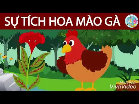 Video Chuyện sự tích hoa mào gà - youtube