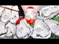 ASMR RAW OYSTERS 대왕굴 먹방 GIANT FRESH SEAFOOD EATING MUKBNAG&HOW TO OPEN OYSTER (NO TAKINGㅣHONGYU ASMR