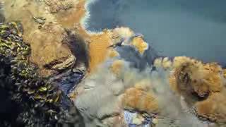 Scientists discover mysterious ‘lake of death’ deep under the ocean