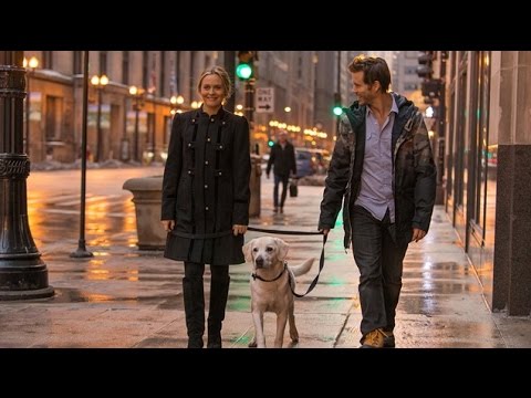 Who Gets The Dog Original Trailer - YouTube Who Gets The Dog Original Trailer - YouTube