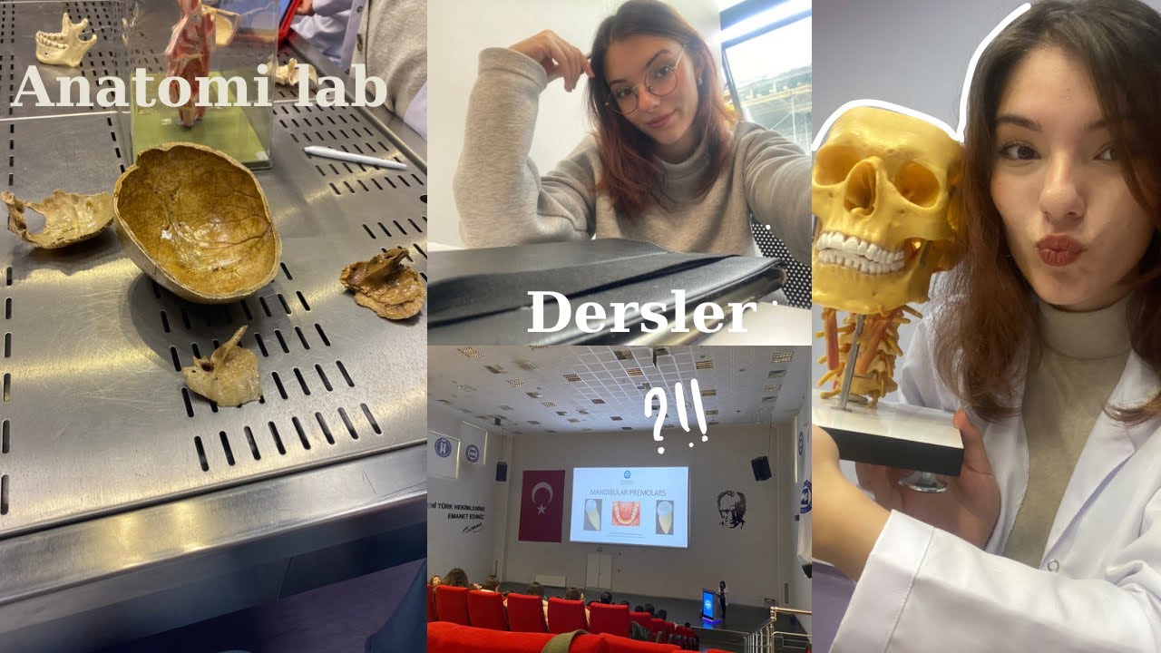 DİŞ HEKİMLİĞİ VLOG 7 || lab günü 🧪 Marmara’da okumak, gittikçe zorlaşan dersler 📚