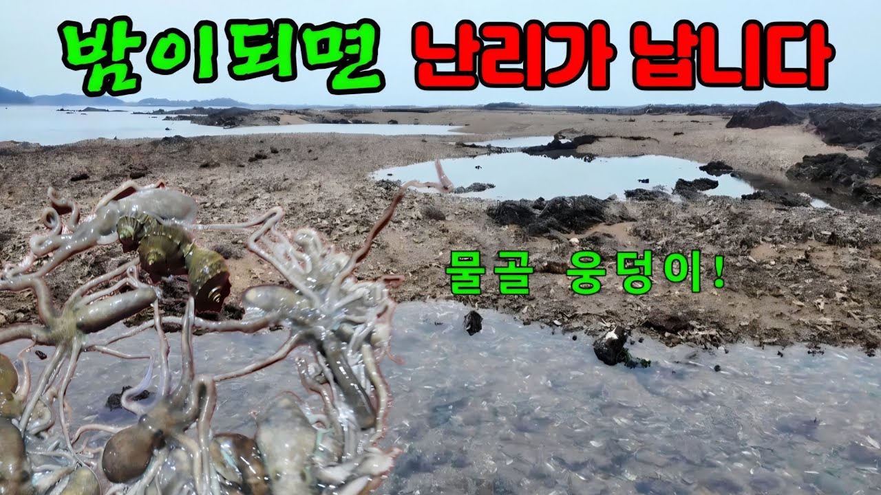 한파 오기전 으슥한 물골 웅덩이 사이 대박났습니다